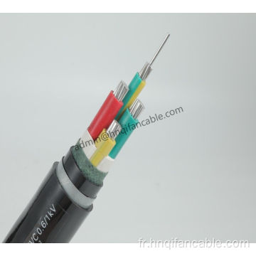 0,6 / 1kV PVC Câble d&#39;alimentation blindé isolé 3 × 95 + 1 × 50